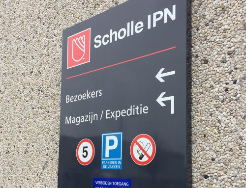 Scholle IPN